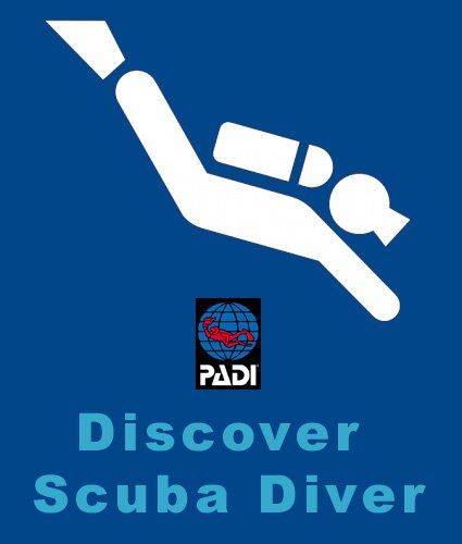 stage discover scuba diving